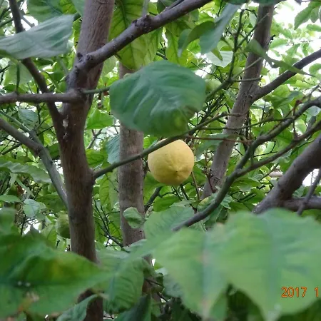 Mantagarden Manta Rota